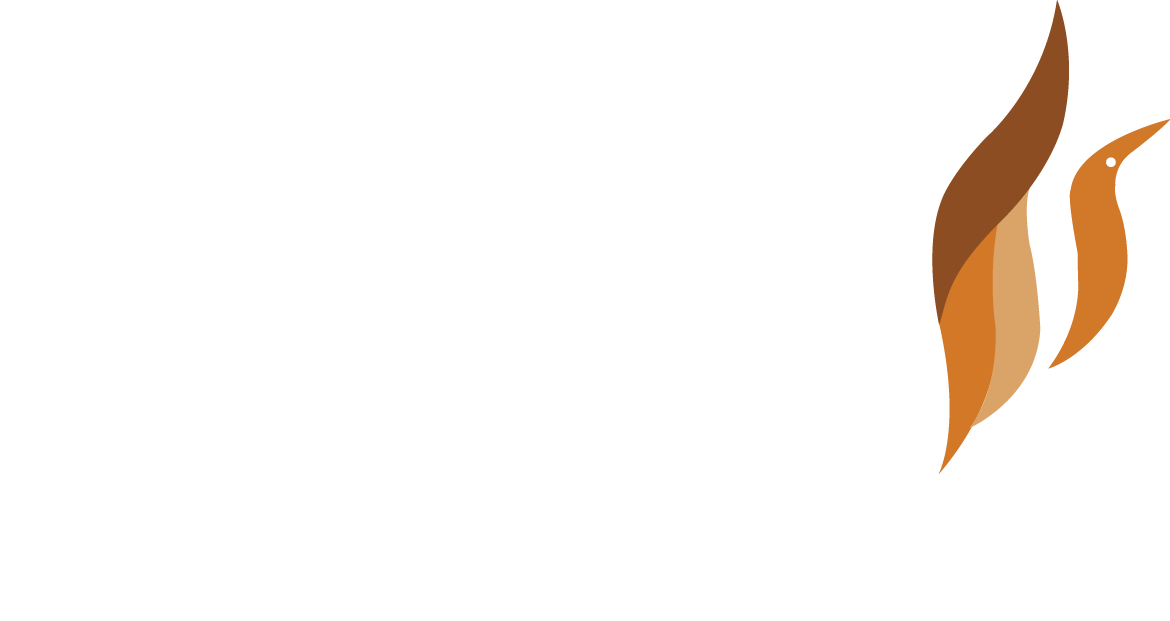 Dova Seramik